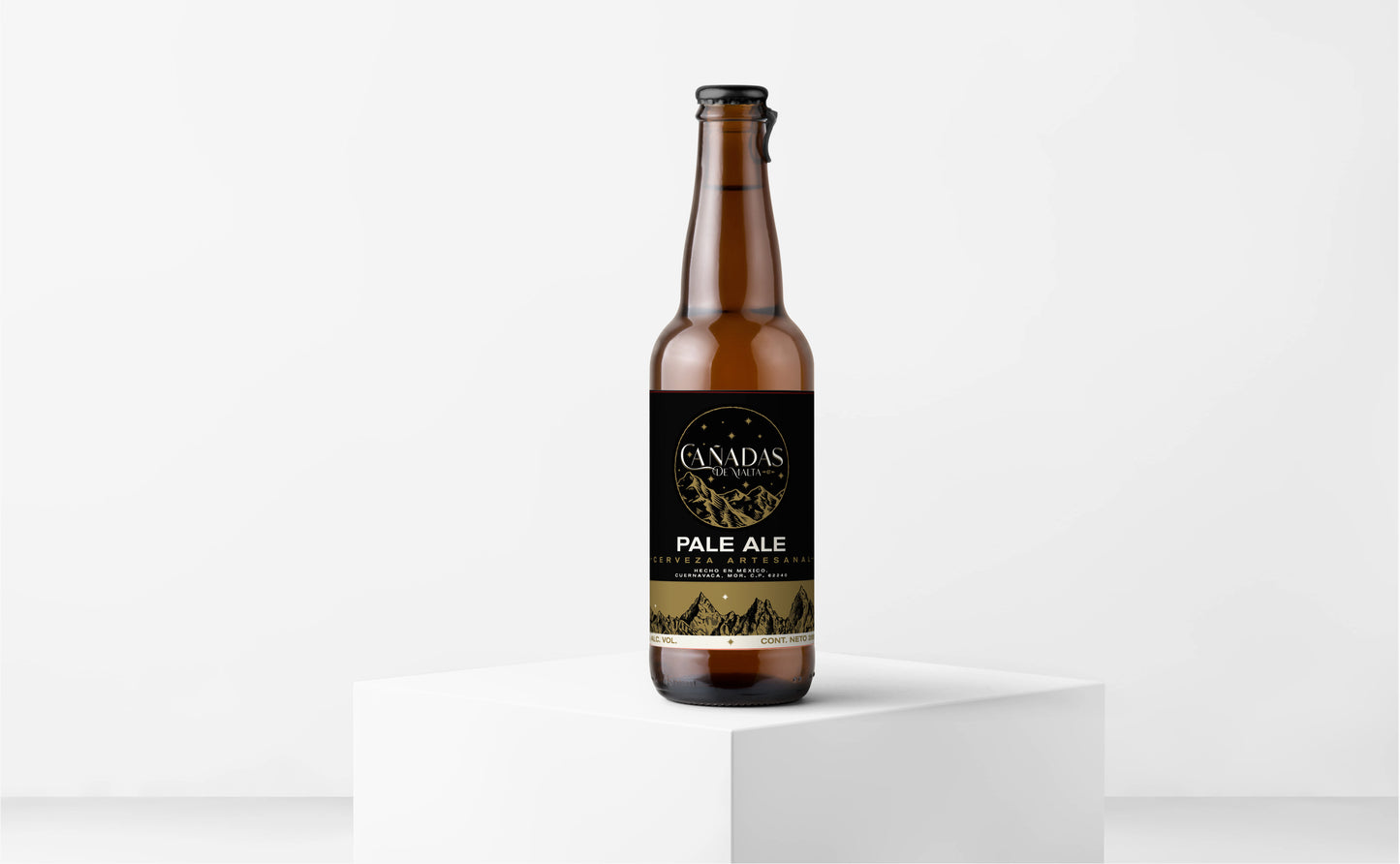 Caja 24 Cervezas Pale Ale (355 mL)