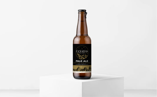 Caja 24 Cervezas Pale Ale (355 mL)
